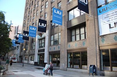 LIU_Brooklyn